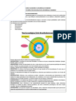 Resumen Teorías Desarrollo