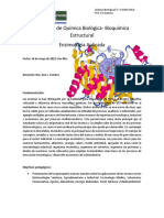 1° Parcial Enzimologia Aplicada