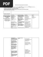 Matriz de La Planificación de Unidad