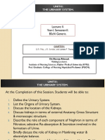 KMU-PGCN The Urinary System Shorter Colored 1