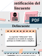 Identificación Del Delincuente