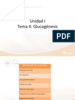 Glucogenesis