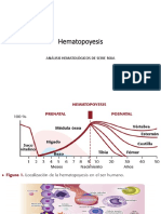 2.1. Hematopoyesis