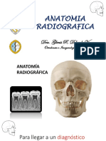 Anatomia Radiografica-Glenis Delgado