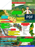 Infografía Sobre La Deforestación en La Amazonia