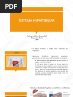 Sistema Hepatobiliar