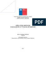 Apellidos Mapuche Vinculados A Titulos D