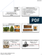 Aula 5 - Absoro e Transporte de Nutrientes