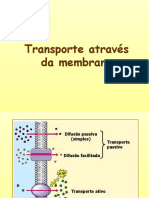 Potencial de Membrana