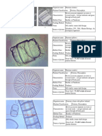 Marine Sediments Flashcards