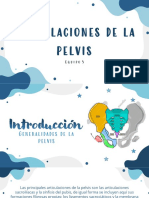 Articulaciones de La Pelvis