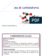 12 - Glucolisis y Gluconeogenesis-2022