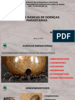 10 Aula - Noções Basicas de Doenças Parasitárias