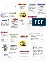 Mapa Mental Com Brainstorm Escrito A Mão Colorido