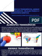 Alimentos Transgênicos, Animais Transgênicos, Células-Tronco e Engenharia Genética