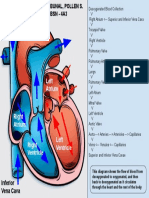 BUNAL - Module 1 Pre Task - Blood Circulation