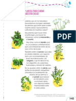 Plantas para Cuidar