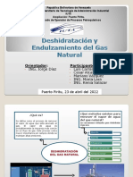 Deshidratacion Del Gas Natural