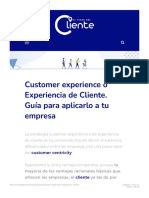 Experiencia de Cliente 【Guía completa】