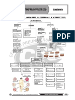 10 - Anatomía 2023-II