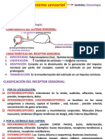 Sistema Sensorial, Sentidos