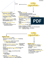 1.16. Notas Explicativas