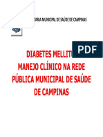 Capacitacao Diabetes Mellitus