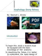 Fish Morphology 1215213886708210 8