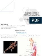 HistologiaPL - Tecido Muscular