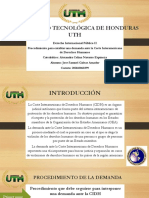 Presentacion Del Proceso para Entablar Una Demanda Ante La Cidh - Dip - Ii