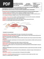 Guia # 4 Grado 7° Sistema Muscular