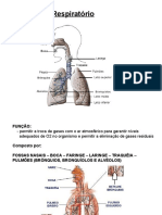 Sistema Respirat Rio I