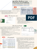 Infografía Sobre Los Documentos Contables