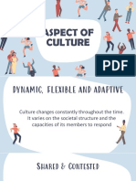 Cultures Aspects