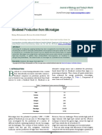 Biodiesel Production From Microalgae