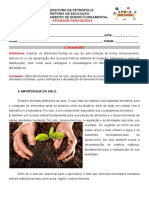 6 Ano Relevo e Solo PDF