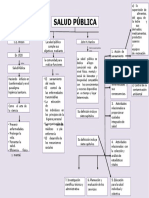 Mapa Conceptual de La Salud Publica 4