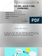 Ciclo Del Agua y Del Carbono