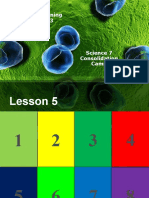 Lesson 5 - Science 7 Consolidation