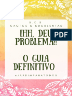 Ihh Deu Problema - o Guia Definitivo