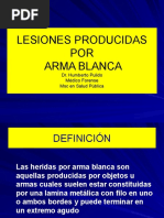 Arma Blanca y Arma de Fuego