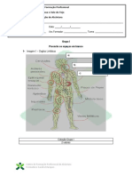 Ufcd 9137 - Ficha de Avaliação Sumativa