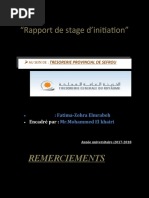 Rapport de Stage Fatima-Zohra Elmrabeh