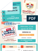 Cem Avan - Literatura-Ppt Sem 24