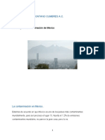 La Contaminación en México, Ensayo