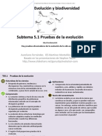 5 - 1 - Pruebas de La Evolución