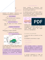 Capítulo IV Resumo