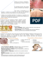 Derma Tarea