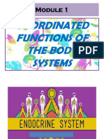 1 PPT Endocrine System