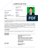 Curriculum Vitae Pepe Actual